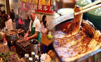 Savoring Immersive Culinary Travel Journeys in Japan